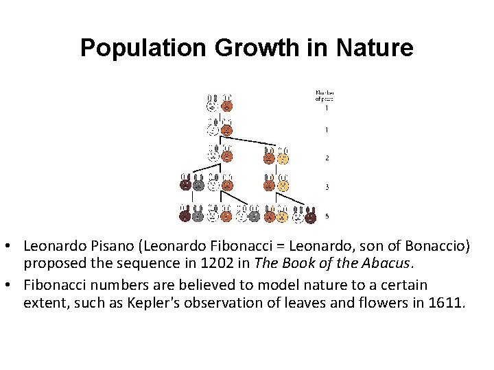 Population Growth in Nature • Leonardo Pisano (Leonardo Fibonacci = Leonardo, son of Bonaccio)