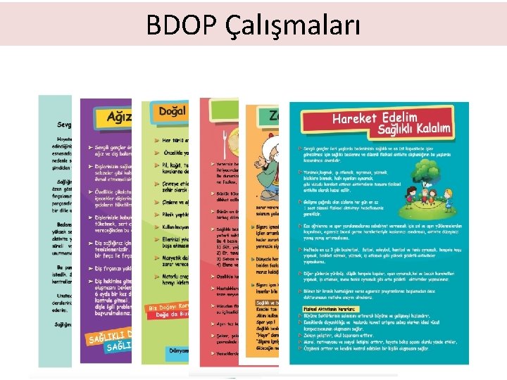 BDOP Çalışmaları 