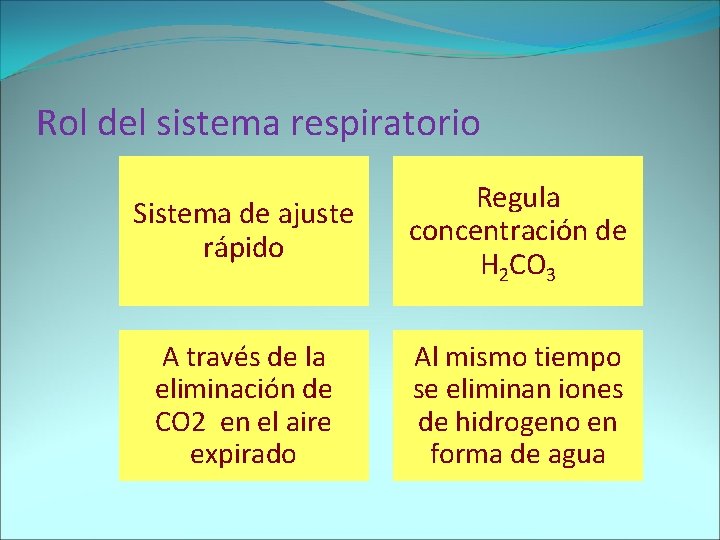 Rol del sistema respiratorio Sistema de ajuste rápido Regula concentración de H 2 CO