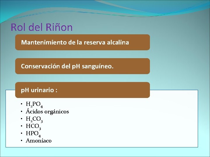 Rol del Riñon Mantenimiento de la reserva alcalina Conservación del p. H sanguíneo. p.