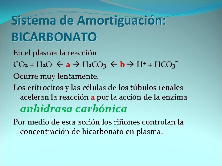 Sistema de Amortiguación: BICARBONATO En el plasma la reacción CO 2 + H 2