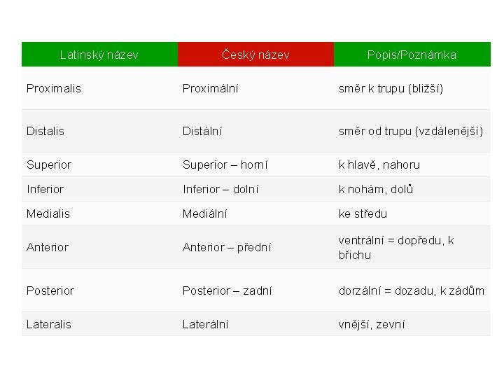 Latinský název Český název Popis/Poznámka Proximalis Proximální směr k trupu (bližší) Distalis Distální směr