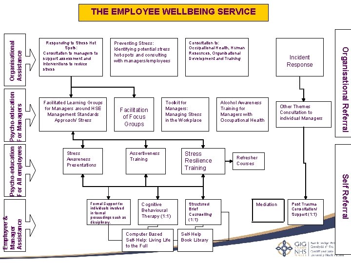 Psycho-education For All employees For Managers Facilitated Learning Groups for Managers around HSE Management