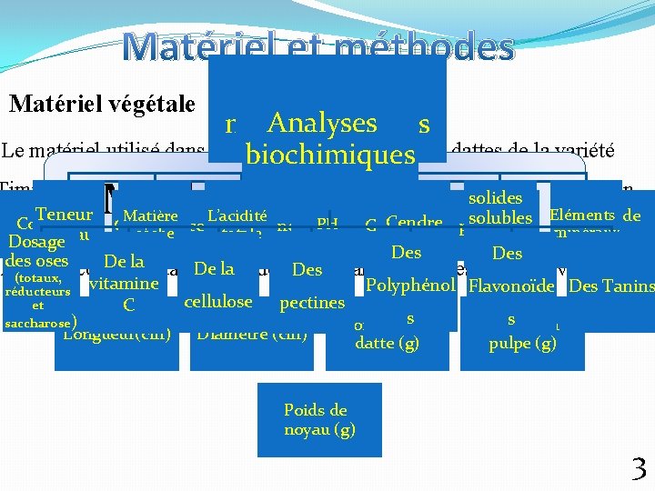 Matériel et méthodes Analyses Matériel végétale physico. Analyses morphologiques Le matériel utilisé dans cettebiochimiques