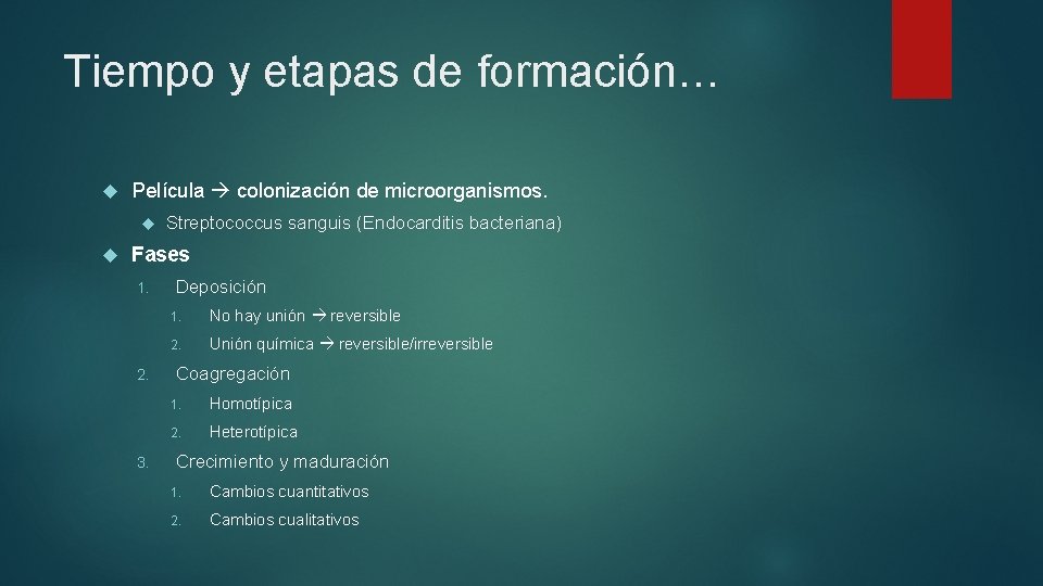 Tiempo y etapas de formación… Película colonización de microorganismos. Streptococcus sanguis (Endocarditis bacteriana) Fases