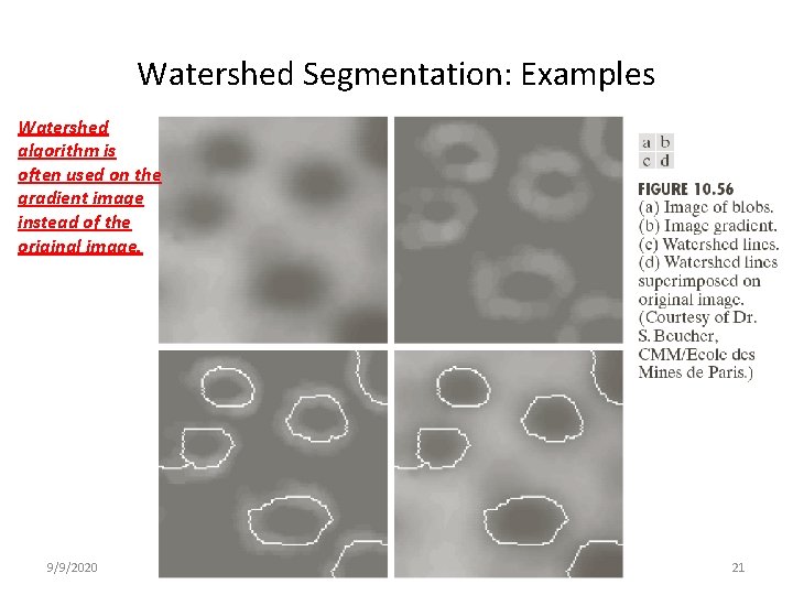 Watershed Segmentation: Examples Watershed algorithm is often used on the gradient image instead of