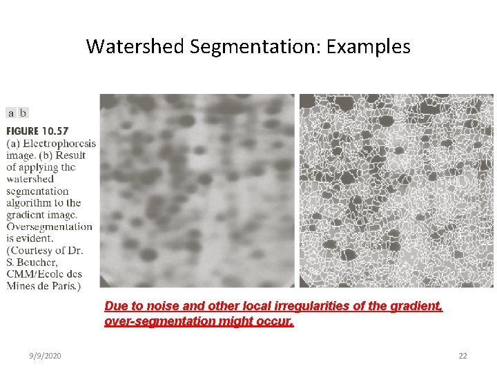 Watershed Segmentation: Examples Due to noise and other local irregularities of the gradient, over-segmentation Watershed Segmentation: Examples Due to noise and other local irregularities of the gradient, over-segmentation