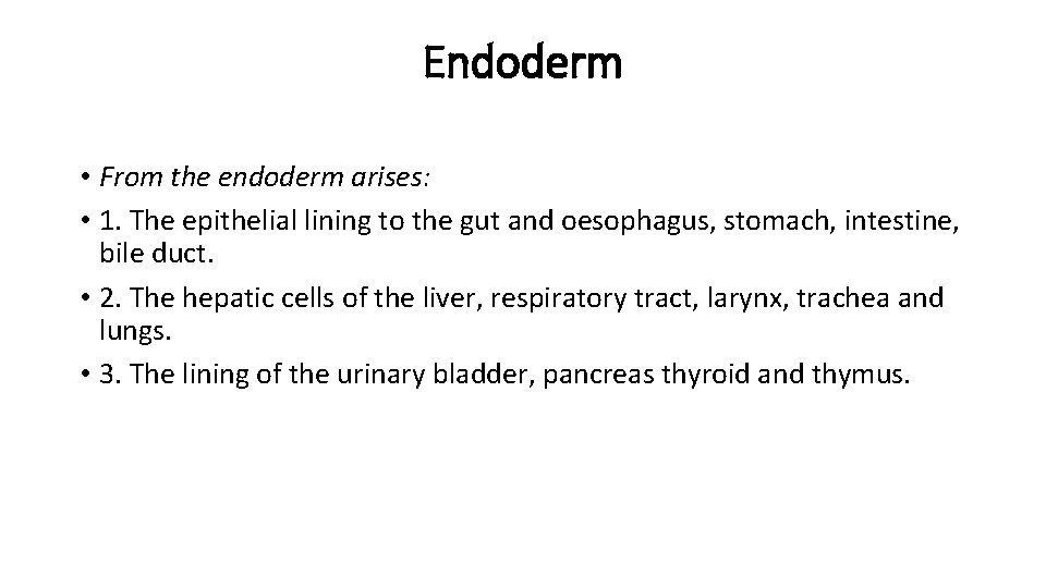 Endoderm • From the endoderm arises: • 1. The epithelial lining to the gut