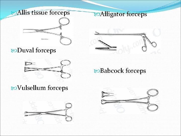  Allis tissue forceps Alligator forceps Duval forceps Babcock forceps Vulsellum forceps 