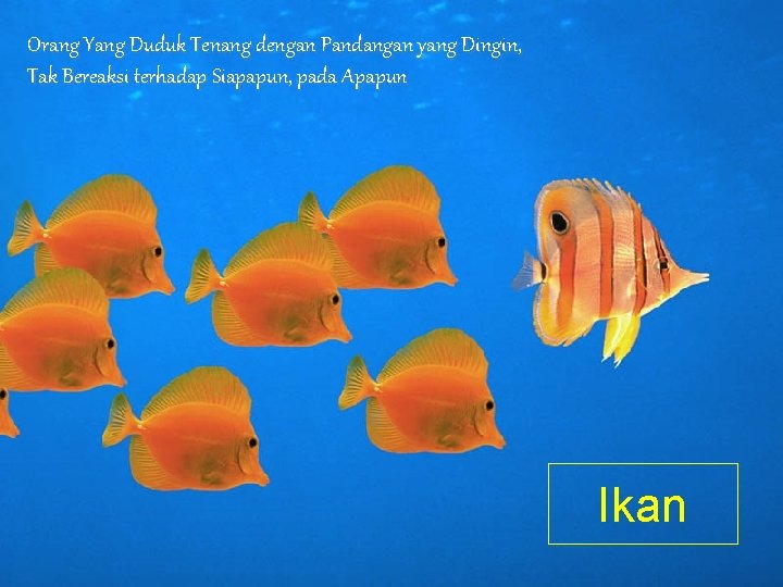 Orang Yang Duduk Tenang dengan Pandangan yang Dingin, Tak Bereaksi terhadap Siapapun, pada Apapun