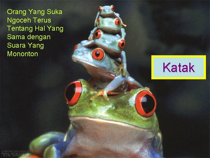 Orang Yang Suka Ngoceh Terus Tentang Hal Yang Sama dengan Suara Yang Mononton Katak