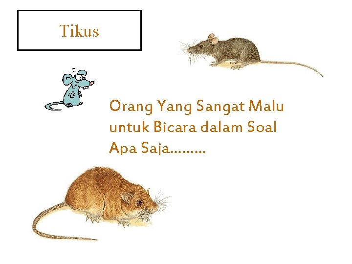 Tikus Orang Yang Sangat Malu untuk Bicara dalam Soal Apa Saja……… 