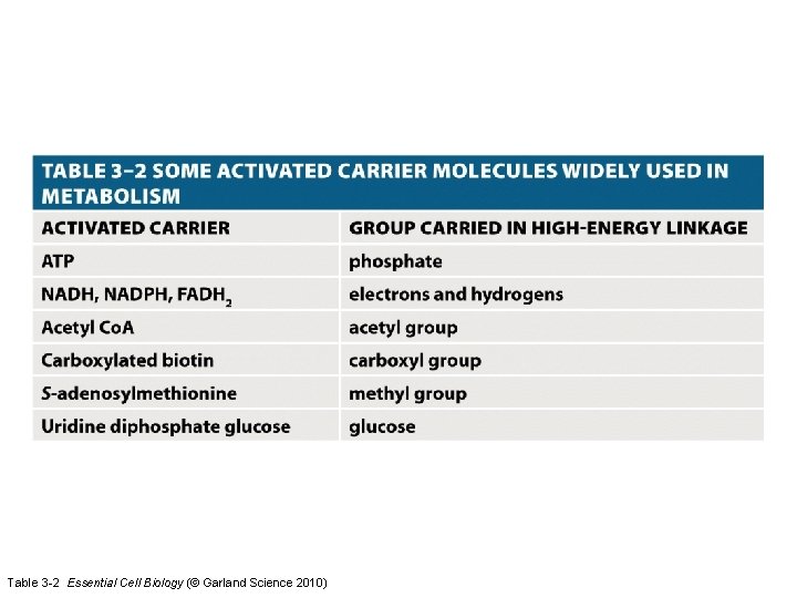 Table 3 -2 Essential Cell Biology (© Garland Science 2010) 
