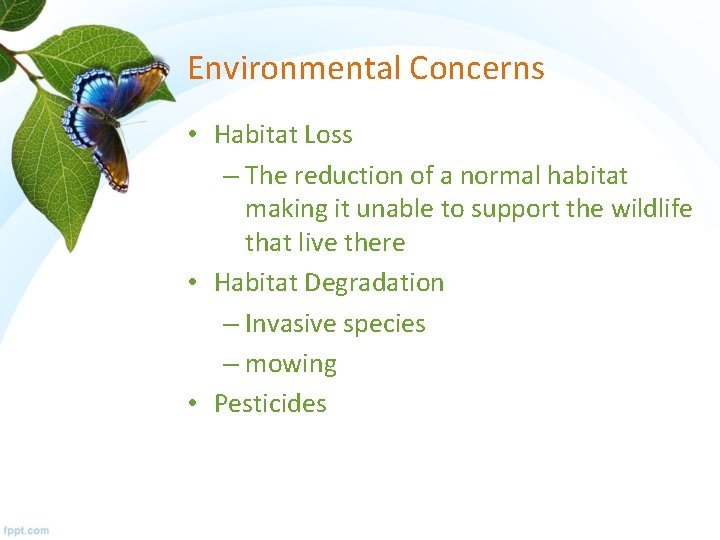 Environmental Concerns • Habitat Loss – The reduction of a normal habitat making it