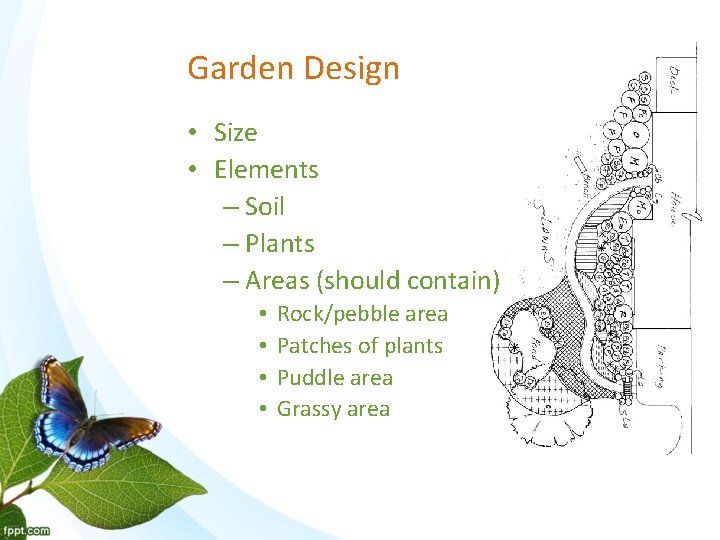 Garden Design • Size • Elements – Soil – Plants – Areas (should contain)