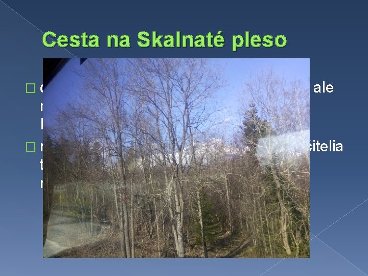 Cesta na Skalnaté pleso � cesta bola zo začiatku nudná a únavná, ale neskôr