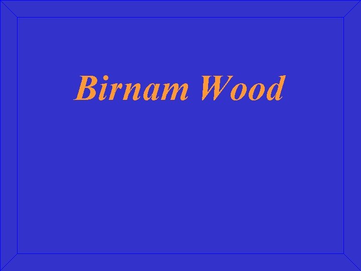 Birnam Wood 