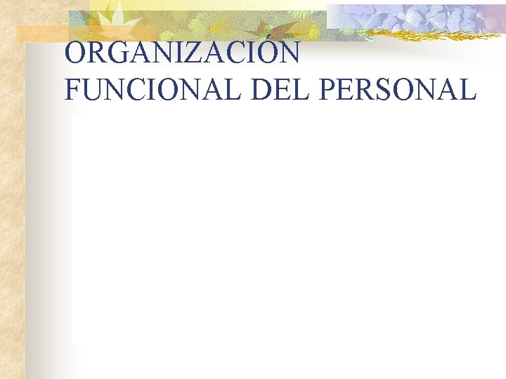 ORGANIZACIÓN FUNCIONAL DEL PERSONAL 