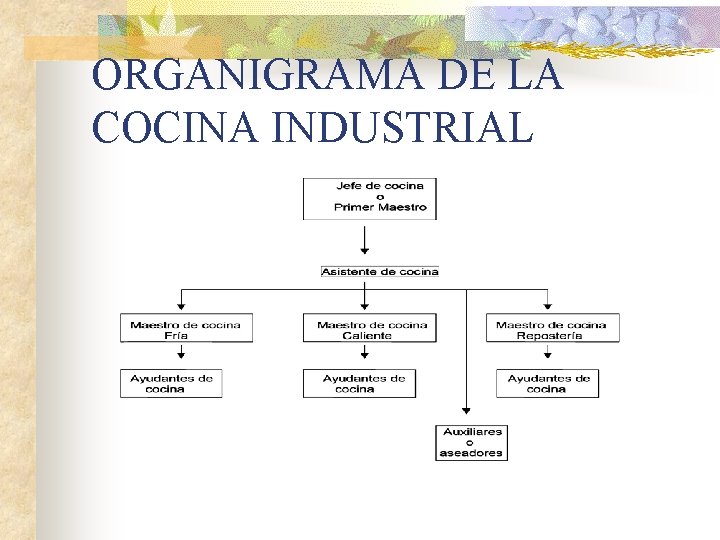 ORGANIGRAMA DE LA COCINA INDUSTRIAL 
