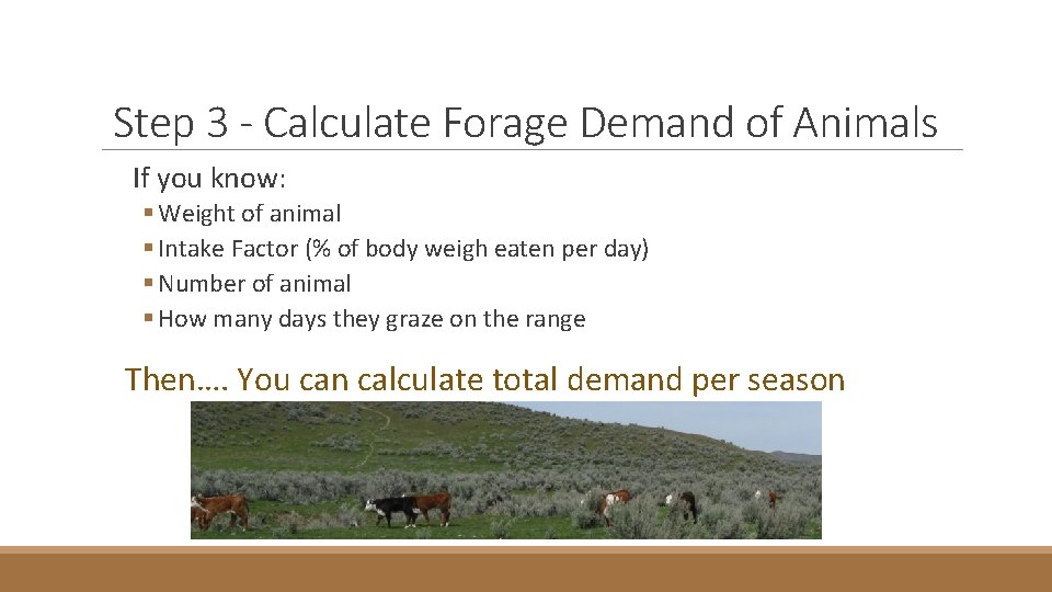 Step 3 - Calculate Forage Demand of Animals If you know: § Weight of