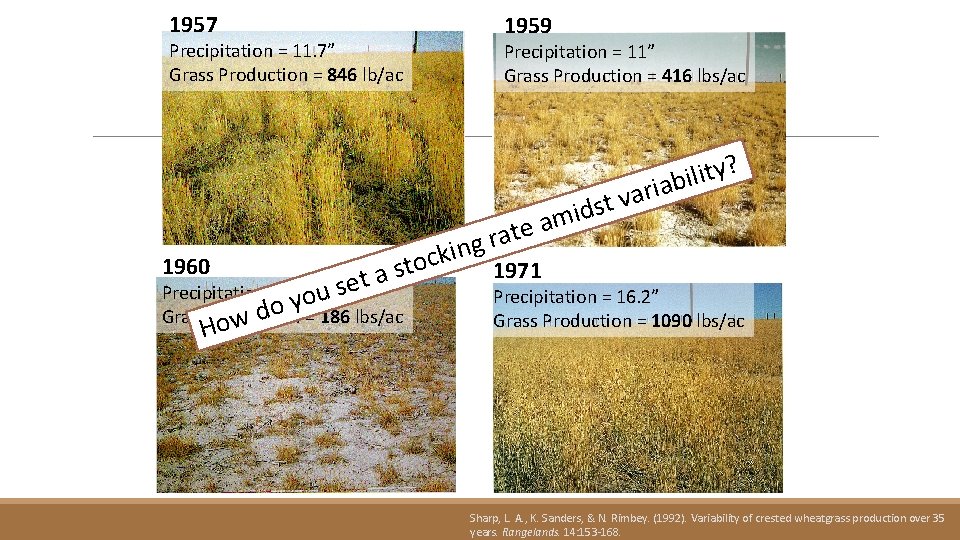 1957 Precipitation = 11. 7” Grass Production = 846 lb/ac 1959 Precipitation = 11”