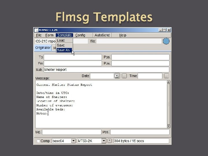 Flmsg Templates 