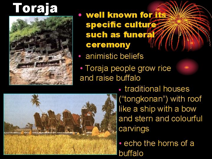 Toraja • well known for its specific culture such as funeral ceremony • animistic