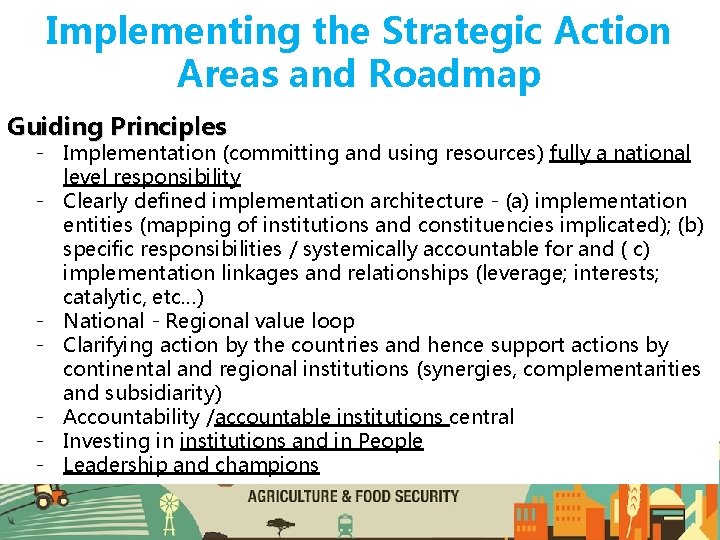 Implementing the Strategic Action Areas and Roadmap Guiding Principles - Implementation (committing and using