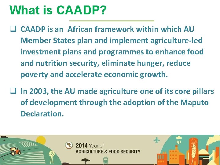 What is CAADP? q CAADP is an African framework within which AU Member States