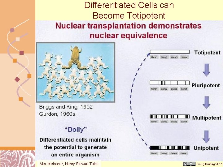 Differentiated Cells can Become Totipotent Alex Meissner, Henry Stewart Talks Doug Brutlag 2011 