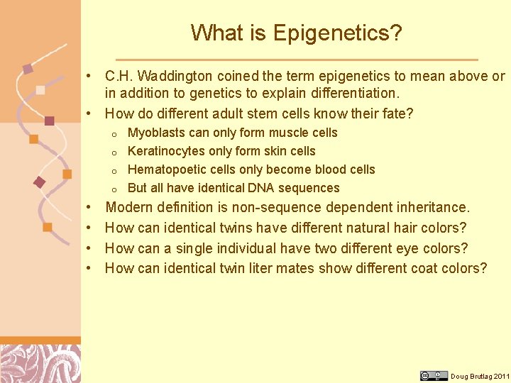 What is Epigenetics? • C. H. Waddington coined the term epigenetics to mean above