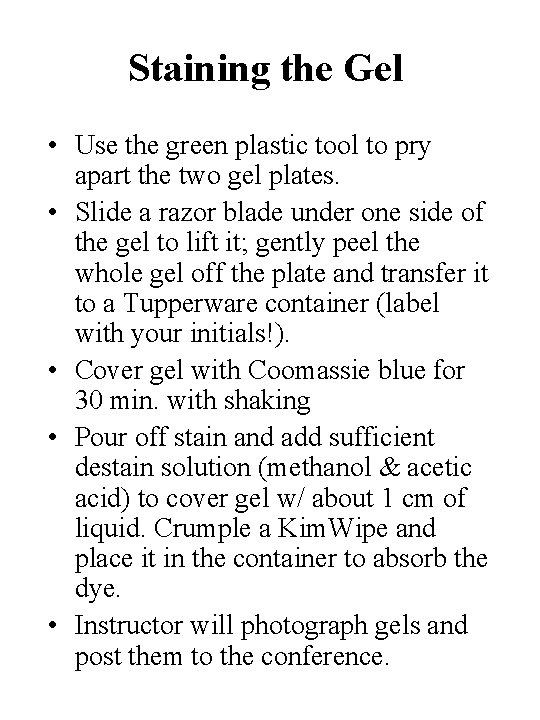 Staining the Gel • Use the green plastic tool to pry apart the two
