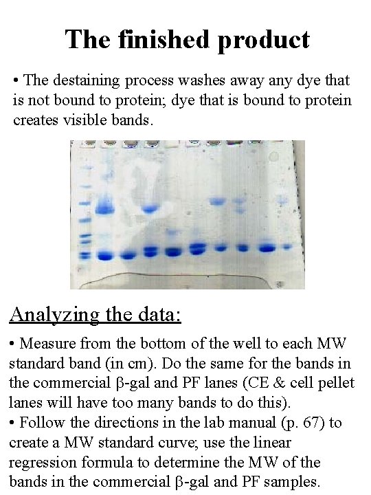 The finished product • The destaining process washes away any dye that is not