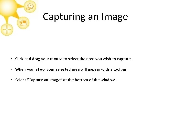 Capturing an Image • Click and drag your mouse to select the area you