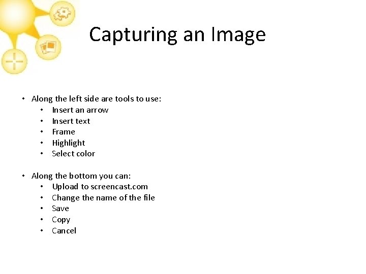 Capturing an Image • Along the left side are tools to use: • Insert