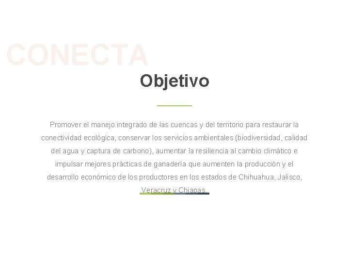 CONECTA Objetivo Promover el manejo integrado de las cuencas y del territorio para restaurar