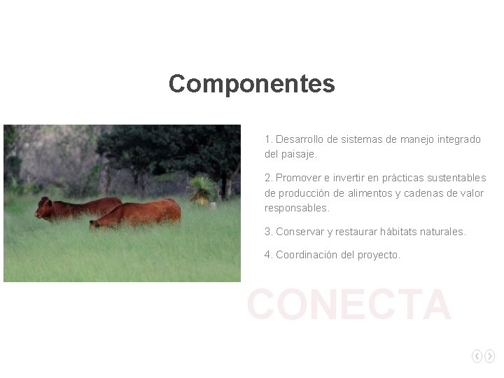 Componentes 1. Desarrollo de sistemas de manejo integrado del paisaje. 2. Promover e invertir