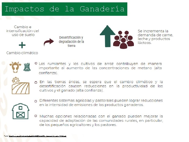 Impactos de la Ganadería Fuente: https: //www. ipcc. ch/site/assets/uploads/2019/08/Edited-SPM_Approved_Microsite_FINAL. pdf 