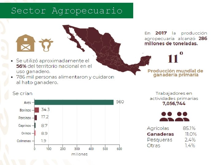 Sector Agropecuario 