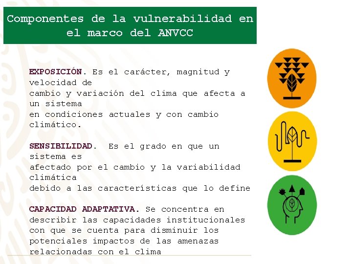 Componentes de la vulnerabilidad en el marco del ANVCC EXPOSICIÓN. Es el carácter, magnitud