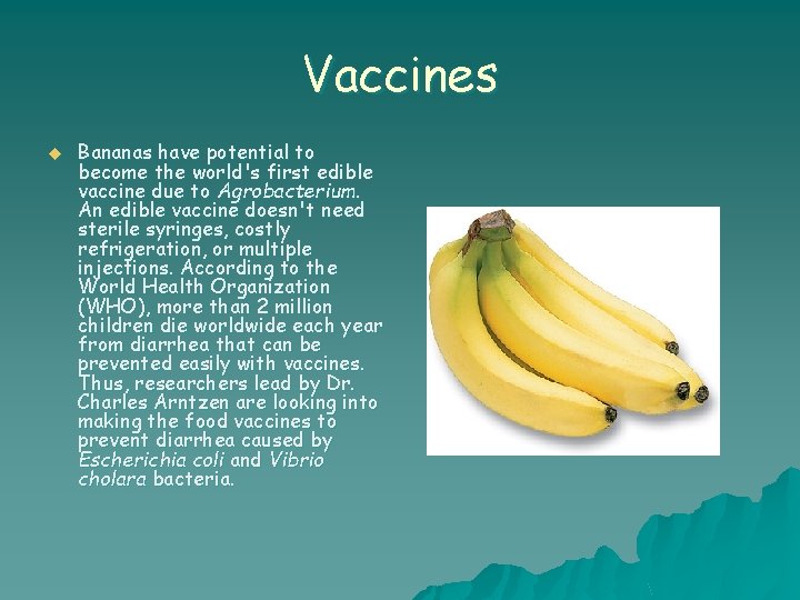 Vaccines u Bananas have potential to become the world's first edible vaccine due to