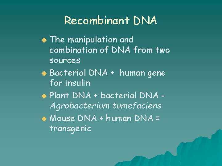 Recombinant DNA The manipulation and combination of DNA from two sources u Bacterial DNA