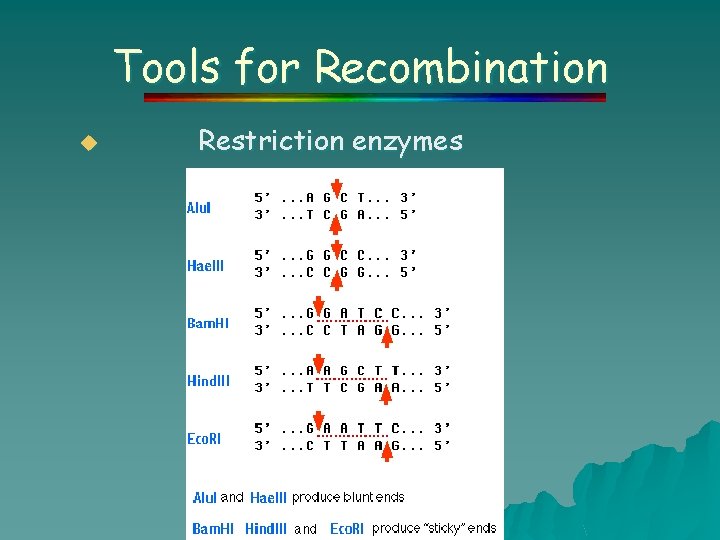 Tools for Recombination u Restriction enzymes 