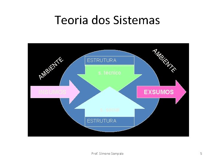 Teoria dos Sistemas INSUMOS TE s. técnico EN ESTRUTURA BI AM AM E T