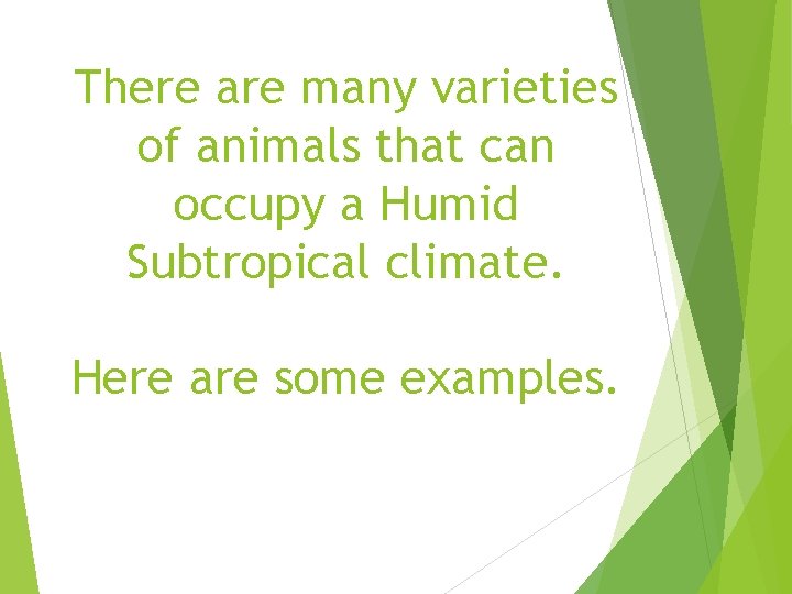 There are many varieties of animals that can occupy a Humid Subtropical climate. Here There are many varieties of animals that can occupy a Humid Subtropical climate. Here