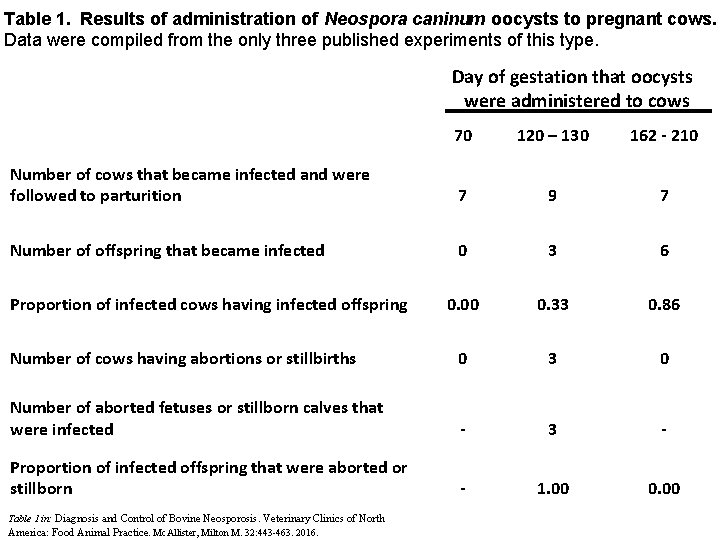Table 1. Results of administration of Neospora caninum oocysts to pregnant cows. Data were