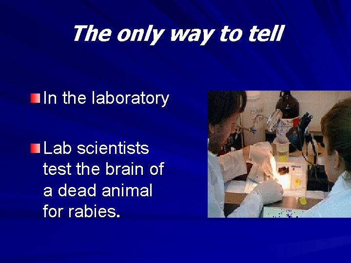 The only way to tell In the laboratory scientists Lab test the brain of