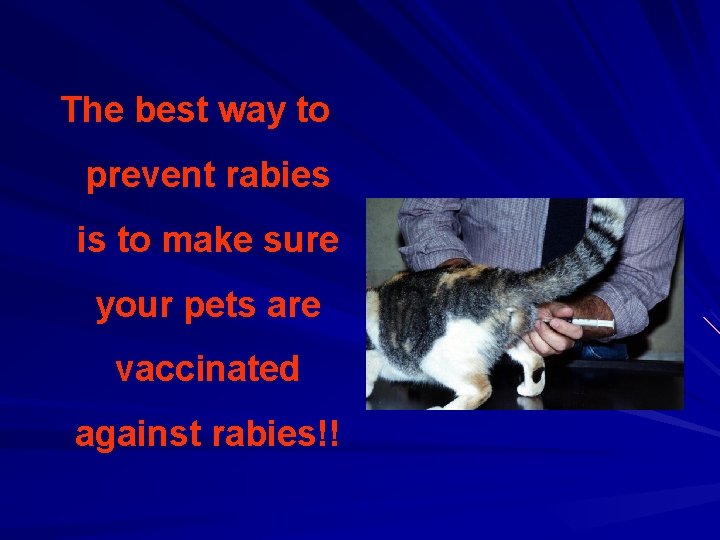 The best way to prevent rabies is to make sure your pets are vaccinated
