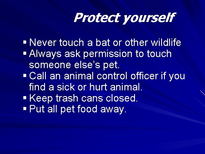 Protect yourself § Never touch a bat or other wildlife § Always ask permission