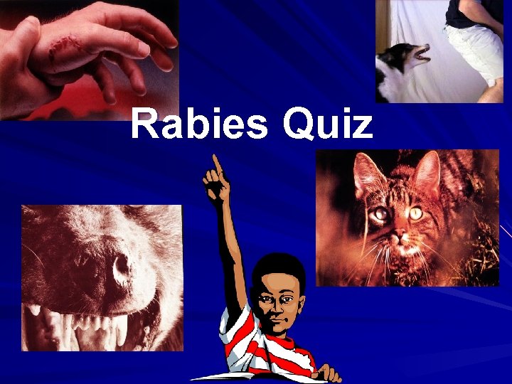 Rabies Quiz 